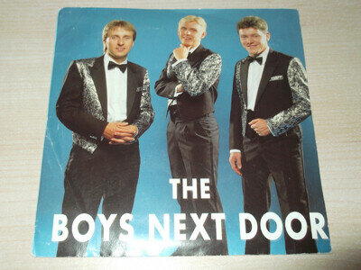 The boys next door Faraway beech 7" Vinyl Record + poster & signed promo sheet
