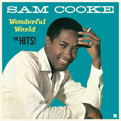 Sam Cooke : Wonderful World: The Hits VINYL Limited 12" Album (2024) ***NEW***