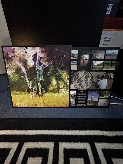 Animal Collective Meeting Of The Waters Vinyl RSD