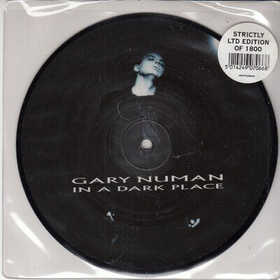 GARY NUMAN *IN A DARK PLACE* 2006 PICTURE DISC INDUSTRIAL GOTH ROCK N MINT