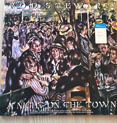 Rod Stewart A Night On The Town 12" Vinyl LP Riva 1976 Rock RVLP 1