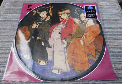 MINT TLC WATERFALLS 12" PICTURE DISC LTD EDITION Lisa Left Eye Lopes FUNK SOUL