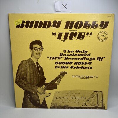 Buddy Holly LIVE Vinyl LP Record VG+ Maybe, Baby Love Is Strange Rip It Up