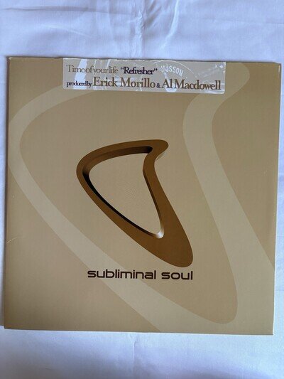 Time Of Your Life – Refresher 12” Vinyl Rare Soulful House On Subliminal Soul