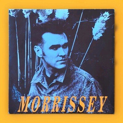 Morrissey/November spawned a monster .. Vinyl 7" Single 1st Press 1990 Ex