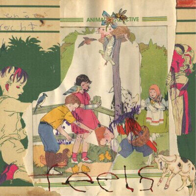 Animal Collective Feels (Vinyl) 12" Album