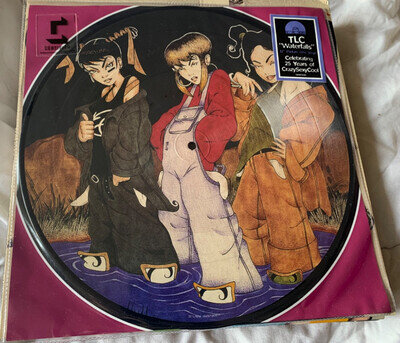 TLC, Waterfalls 12" vinyl ltd edition maxi single picture disc, 2020