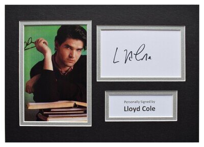 Lloyd Cole Signed Autograph A4 photo display Music Commotions AFTAL COA
