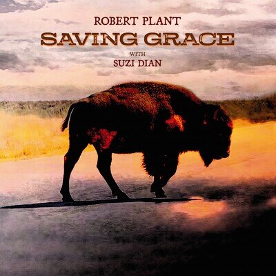 Robert Plant Saving Grace (Vinyl) 12" Album