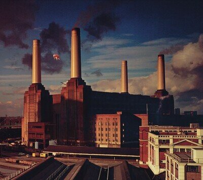Pink Floyd : Animals VINYL 12" Album (2025) ***NEW*** FREE Shipping, Save £s