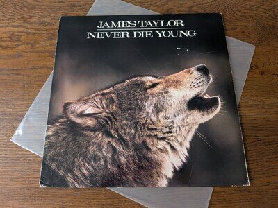 JAMES TAYLOR NEVER DIE YOUNG OG 1988 UK CBS VINYL LP Soft Rock PLAY TESTED CLEAN