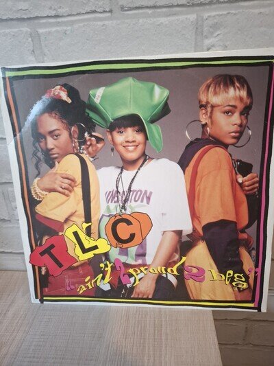 TLC Ain't 2 Proud 2 Beg 12" Vinyl Single EX/VG+