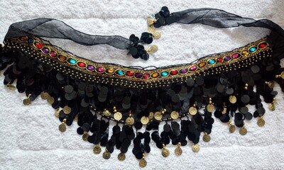 Grevosea Women's Belly Dancing Costume Belly Dance Skirt