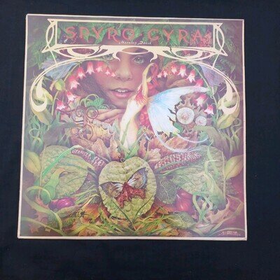 SPYRO GYRA - MORNING DANCE- VINYL LPINS 2003 A2 B1 BRILLIANT VINYL CONDITION