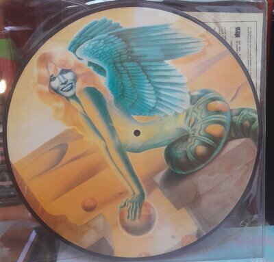 AMANDA LEAR - Never Trust A Pretty Face - Vinyl LP *Picture Disc*