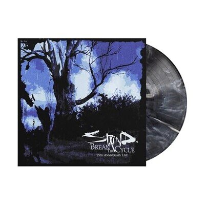 STAIND - Break The Cycle - Vinyl Record - N1111z