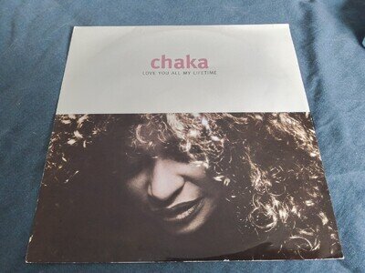 Chaka Khan - Love You All My Lifetime: 12" Single, 1992, W 0087(T), VG+