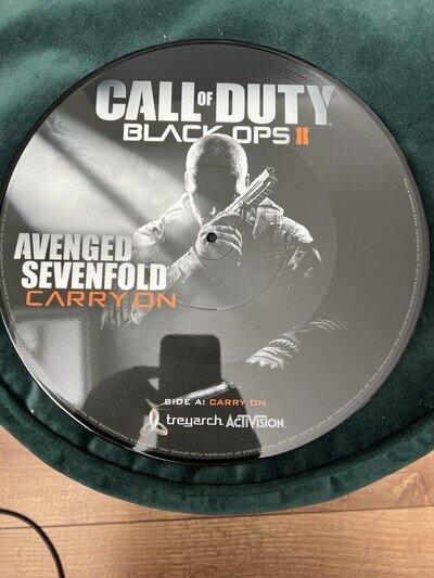Avenged Sevenfold Carry On - RSD 2013 release picture disc RARE
