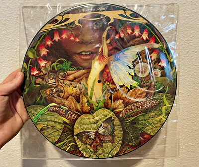 Spyro Gyra Morning Dance 1979 Picture Disc INF-9004 Wherehouse Promo SEALED TAB