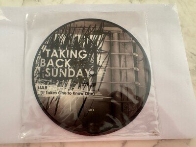 Liar (It Takes One to Know One) [#1] by Taking Back Sunday (Record, 2006)
