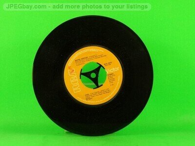 NEWTON,WAYNE FOOL (137) 7" RCA