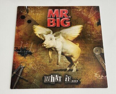 Mr. Big - What If... VINYL LP 12” **EXCELLENT CONDITION** VERY RARE