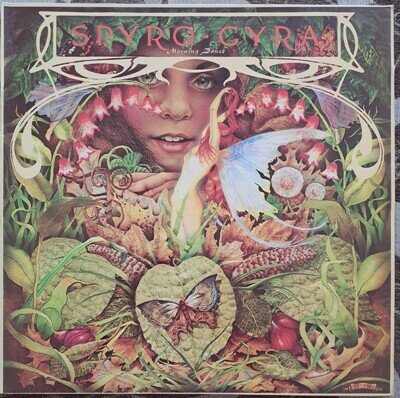 Spyro Gyra Morning Dance 12" Vinyl LP Record. Very Good Condition.