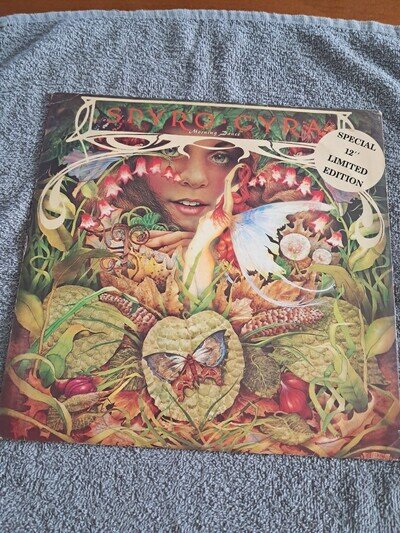 Spyro Gyra Morning Dance 12" Black Vinyl LP Infinity Records 1979 ex cond