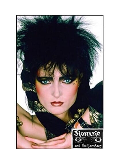 Siouxsie and the Banshees The Untold Story