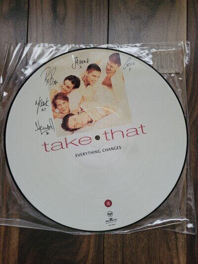 TAKE THAT - Everything Changes 1993 UK PICTURE DISC* LP