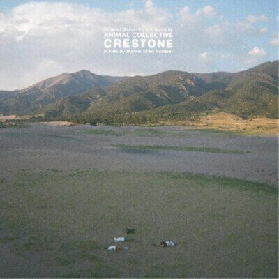Animal Collective Crestone (Vinyl) 12" Album
