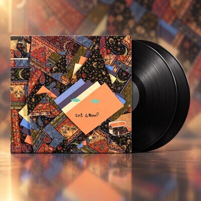 Animal Collective – Isn’t It Now? 2LP Gatefold Vinyl Album NEW SEALED