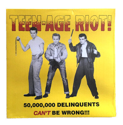 Various Artists Teen-Age Riot! (50.000.000 Delinquents Can't Be Wrong) Vinyl