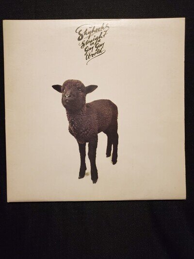 SKYHOOKS STRAIGHT IN A GAY GAY WORLD VINYL poster LP 1976 ORIG AUS PRESS L35982