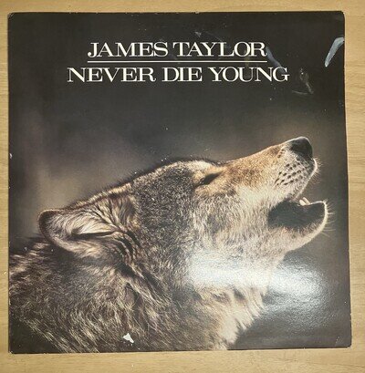 James Taylor - Never Die Young LP 1988 UK 1st Press CBS 460434