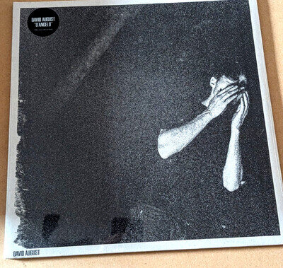 David August D'Angelo 180g Vinyl LP Gatefold Sealed PIAS Electronic Ambient